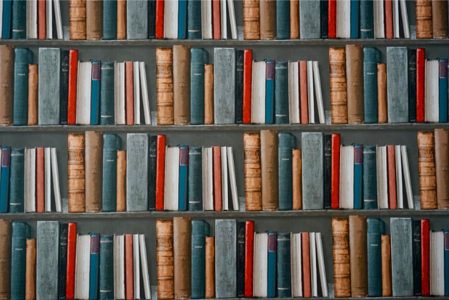 Library shelf